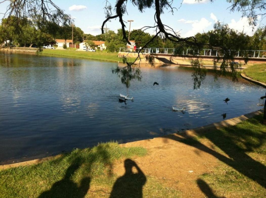 Oasis Near Dfw Airport With Mediterranean Setting Irving Exteriör bild